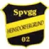 SpVgg. Heinsdorfergrund III