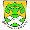 SpG VfB AE/Neustadt