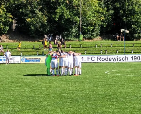 10.09.2023 1.FC Rodewisch vs. FC Fortuna Plauen