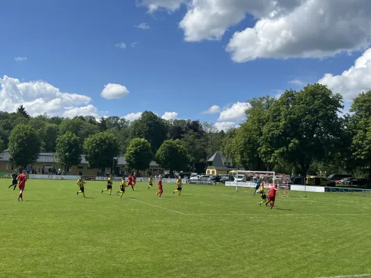 26.05.2024 1.FC Rodewisch vs. 1. FC Wacker Plauen