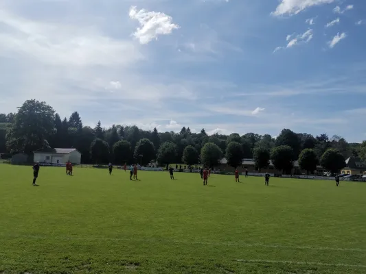 09.06.2024 1.FC Rodewisch II vs. Tirpers/Bergen/Werda