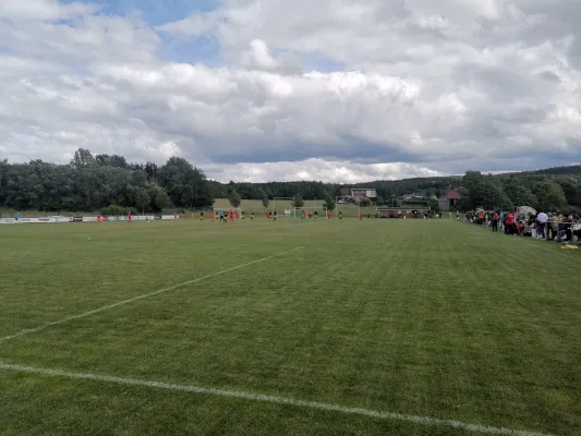 15.06.2024 SV 08 Wildenau vs. 1.FC Rodewisch II