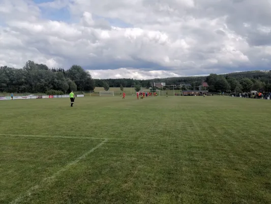 15.06.2024 SV 08 Wildenau vs. 1.FC Rodewisch II