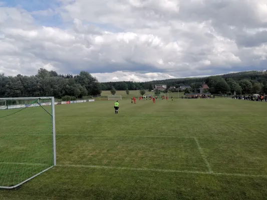 15.06.2024 SV 08 Wildenau vs. 1.FC Rodewisch II